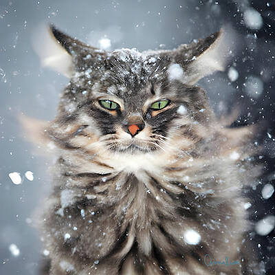 Wall Art featuring the digital art Winter Cat In The Snow by Annalisa Rivera-Franz