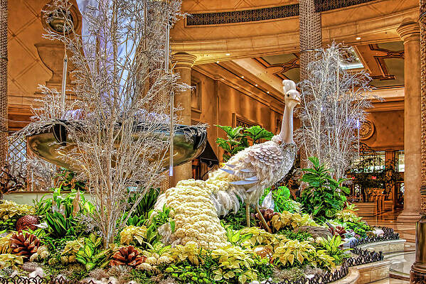 Wall Art featuring the photograph Winter Exotic Bird Palazzo, Las Vegas by Tatiana Travelways