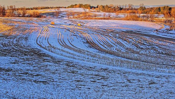 Winter Field with Hay Bales Wall Art