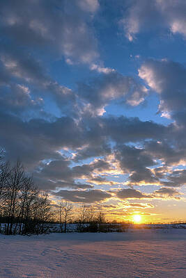 Beautiful Photograph - Winter Gold by Todd Wilkinson