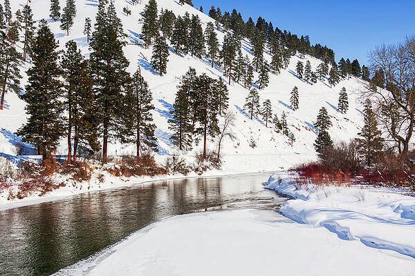 Winter Wall Art featuring the photograph Winter Hillside Creek, Montana by Tatiana Travelways