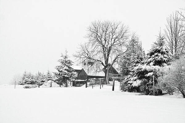 Snow-Covered Winter Farm Landscape Photograph
