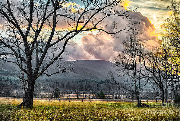 Landscape Wall Art featuring the photograph Winter In Cades Cove by Jimmy Pappas