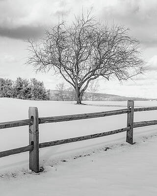 Winter Wall Art featuring the photograph Winter Landscape by Dave King