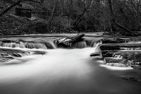 Winter Wall Art featuring the photograph Winter On The Creek Black And White by Anthony Hightower