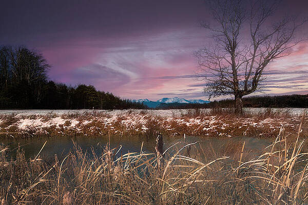 Sunrise Photograph - Winter Pond by Theresa D Williams Smoky Mountains