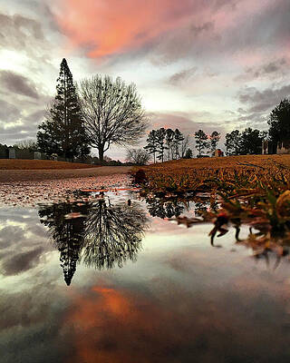 Southern Wall Art featuring the photograph Winter Reflections 2 by Greg Lane