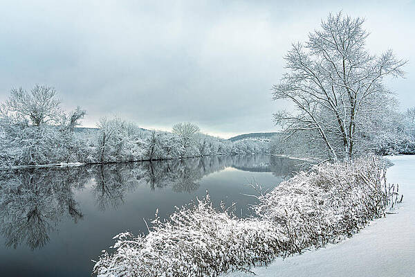Winter Scene by a Calm River Wall Art