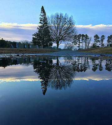 Southern Wall Art featuring the photograph Winter Reflections by Greg Lane