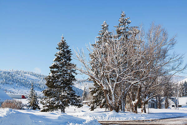Winter Wall Art featuring the photograph Winter Scene In Spencer Idaho by Tatiana Travelways