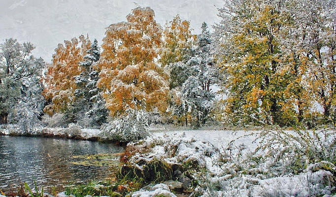 Nature Wall Art featuring the photograph Winter Snow - Port Royal, Virginia by Antonios Valamontes