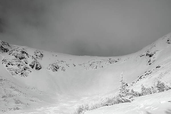 Mountain Wall Art featuring the photograph Winter Spruce. by Jeff Sinon