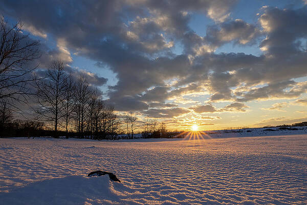 Beautiful Photograph - Winter Star Burst by Todd Wilkinson