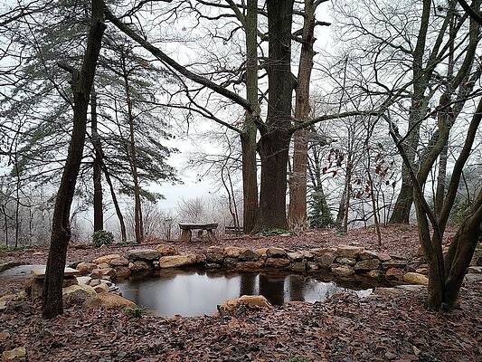 Wall Art featuring the photograph Winter Stillness On Mill Mountain by Deb Beausoleil