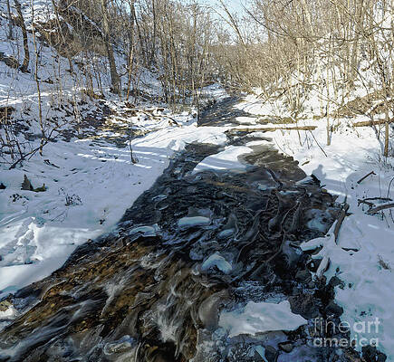 Winter Photograph - Winter Stream by Natural Focal Point Photography