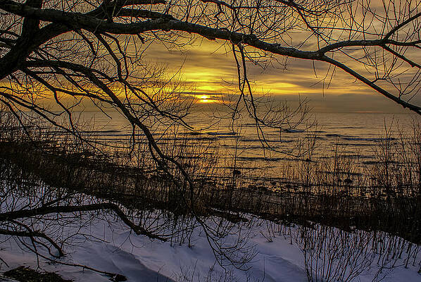 Wisconsin Photograph - Winter Sunrise Through The Branches by Deb Beausoleil