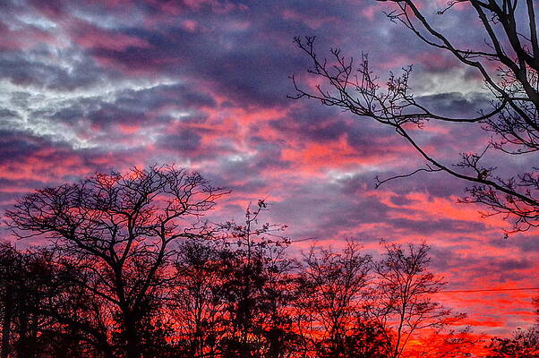 Sky Photograph - Winter Sunset 2 by Murray Croft