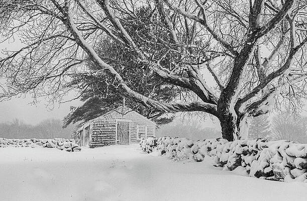 Barn Photograph - Winter Tranquility by Steven David Roberts