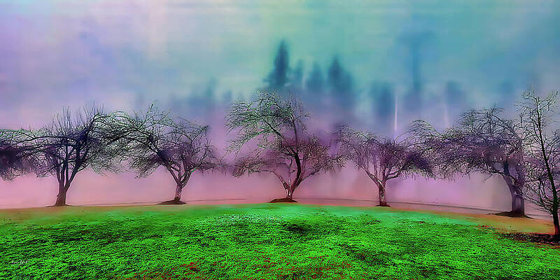 Wall Art featuring the digital art Winter Trees In The Park by Bruce Block