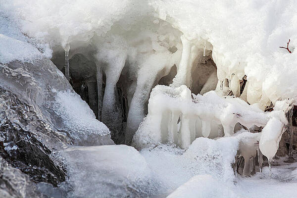 Delicate Winter Ice Formations Wall Art