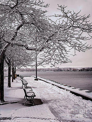 Finger Lake Photograph - Winter Waterfromt by William Norton