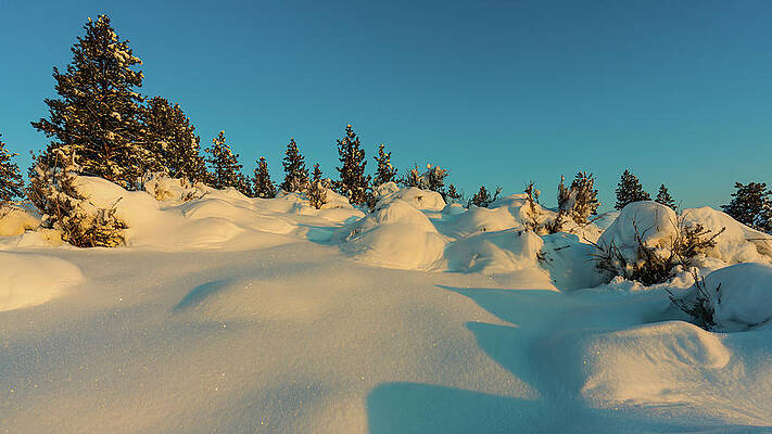 Reno Wall Art featuring the photograph Winter Wonderland by Ron Long Ltd Photography