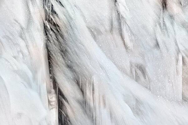 Tree Photograph - Winter Wonderland by Ursula Abresch