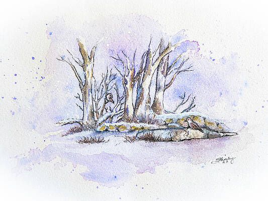 Winter Wall Art featuring the painting Winter Woods Watercolor by Shirley Dutchkowski