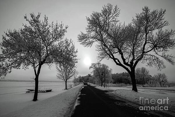 Landscape Photograph - Winter's Whisper by Mark Triplett