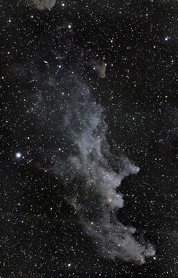 Nebula Photograph - Witch Head Nebula by Brian Weber
