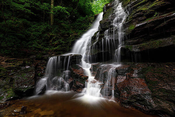 Large Wall Art featuring the photograph With The Flow by Todd Wilkinson