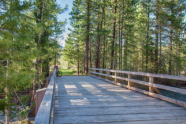 Wall Art featuring the photograph Wolf Creek Bike Ride In Winthrop Art By Omashte by Omaste Witkowski