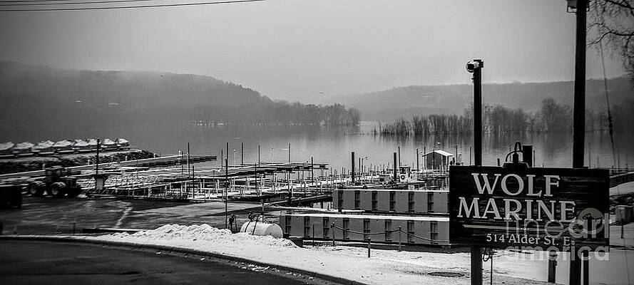 Reflection Photograph - Wolf Marine by Mark Triplett