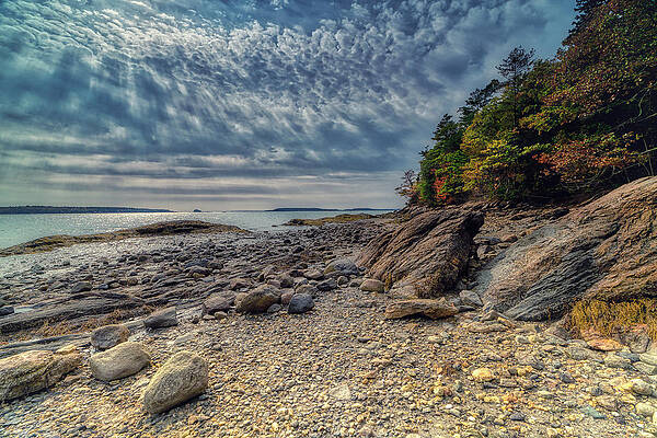 Wall Art featuring the photograph Wolfe Neck Woods by Penny Polakoff