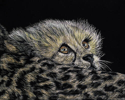 Wondering Eyes Print