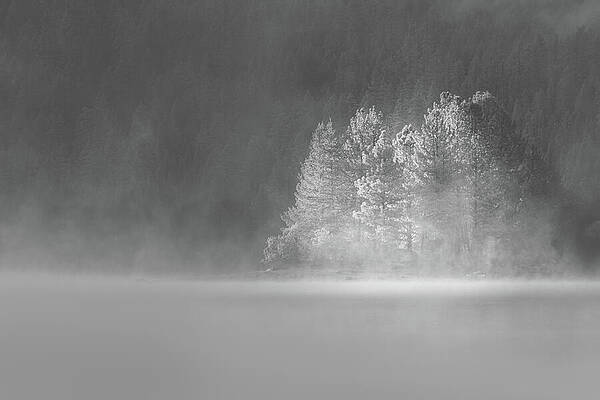 Moody Wall Art featuring the photograph Wooded Island In Foggy Glow by Mike Lee