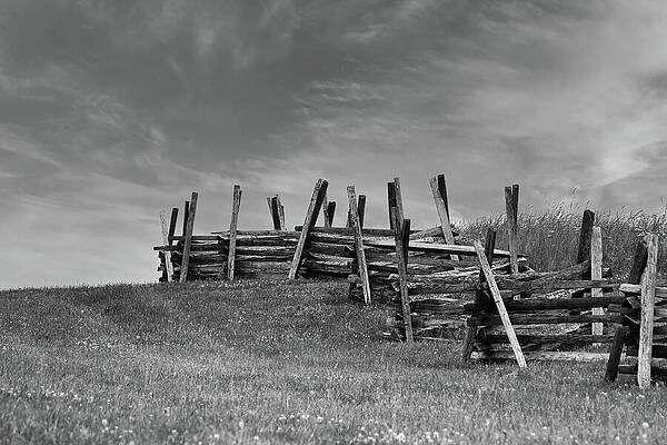 Sky Wall Art featuring the photograph Wooden Bayonets by American Landscapes