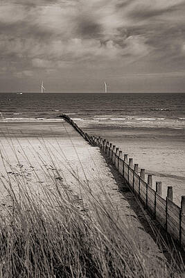 Vibrant Photograph - Wooden Groyne At Blyth Beach by Francisco Ruiz Navas