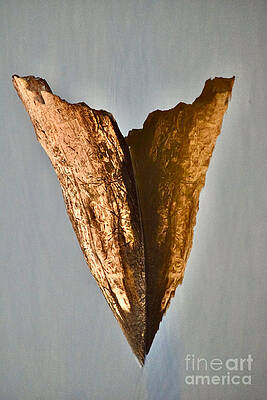 Reflection Photograph - A Wooden Heart by Debra Banks