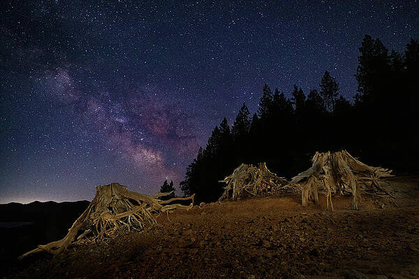 American Wall Art featuring the photograph Wooden Spiders Under The Stars by Mike Lee