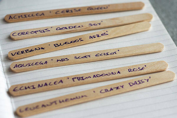 Organic Photograph - Wooden Sticks With Flower Names by Scott Lyons