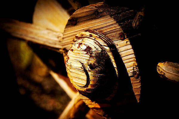 Arizona Photograph - Wooden Wheel Nostalgia by Tatiana Travelways
