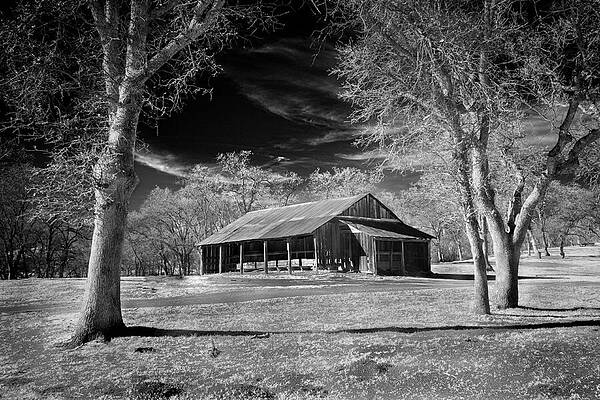 Rustic Wall Art featuring the photograph Woodland Barn In Infrared by Mike Lee