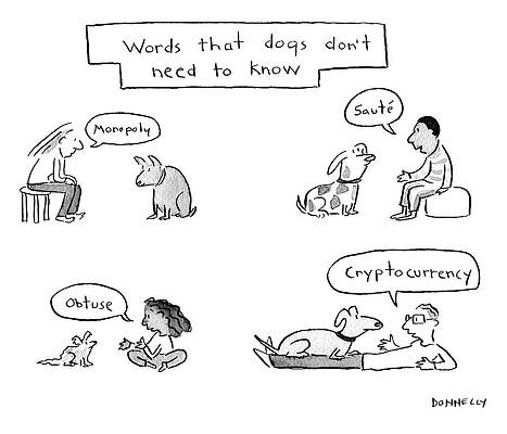 Word Drawing - Words That Dogs Don't Need To Know by Liza Donnelly