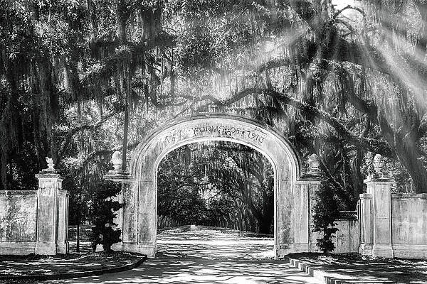 Country Photograph - Wormsloe Plantation BW by Susan Candelario