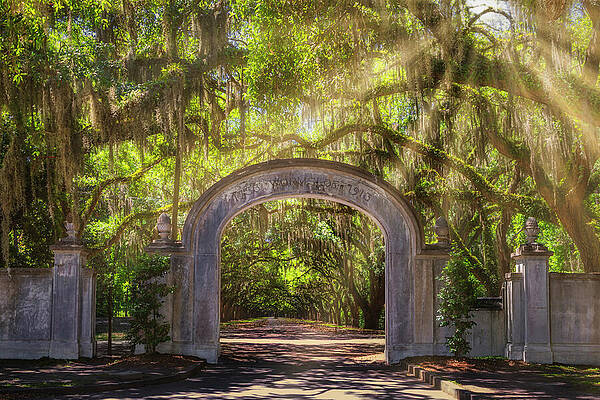 Country Photograph - Wormsloe Plantation by Susan Candelario