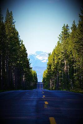 Landscape Photograph - Worth The Wait by Alden White Ballard