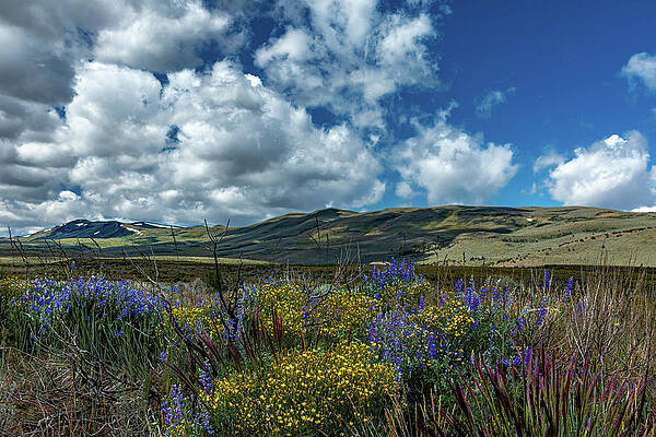 Mountain Wall Art featuring the photograph Worth The Wait by Tim Lyden