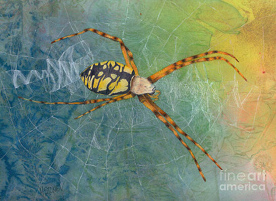 Wall Art featuring the painting Writing Spider-Argiope Aurantia by Marie Stone-van Vuuren