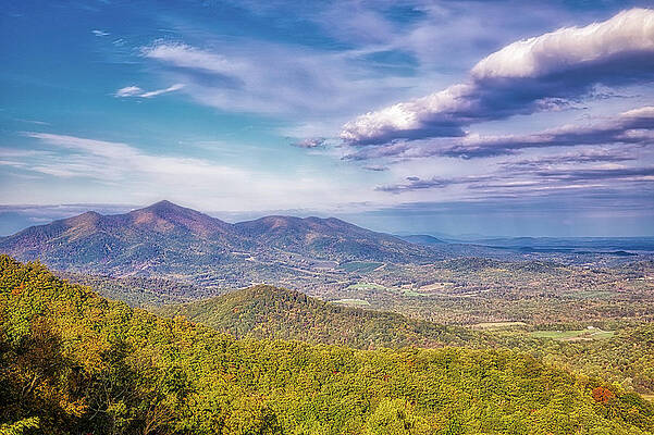 Tree Wall Art featuring the photograph WV Mountains by Jonny D